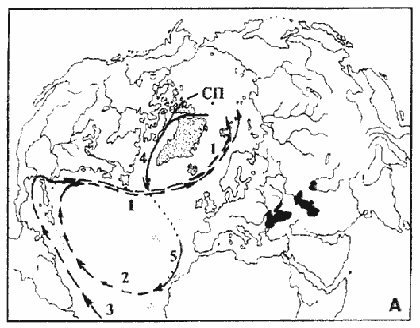 http://www.kongord.ru/Index/Image/fairmarquis3.jpg